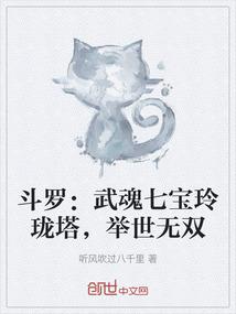斗罗：武魂七宝玲珑塔，举世无双