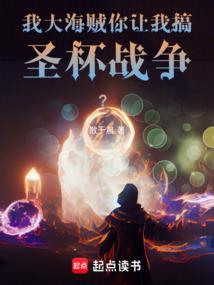 我大海贼，搞圣杯战争！