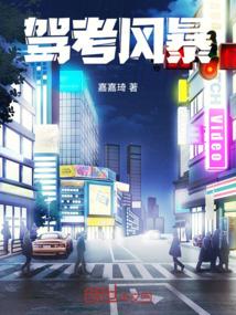 驾考风暴