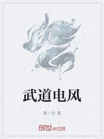武道电风