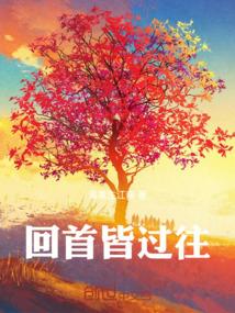 回首皆过往