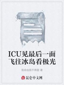 ICU见最后一面飞往冰岛看极光