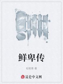鲜卑传
