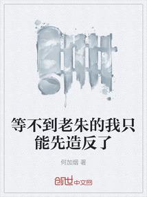 等不到老朱的我只能先造反了