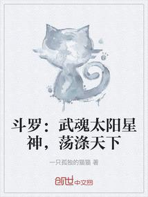 斗罗：武魂太阳星神，荡涤天下