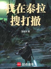 我在泰拉搜打撤