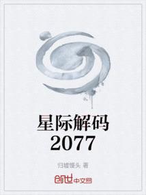星际解码2077