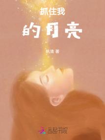 抓住我的月亮