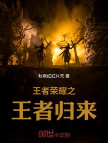 王者荣耀之王者归来