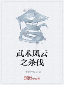 武术风云之杀伐