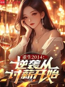 重生2014：逆袭从讨薪开始