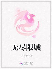 无尽限域
