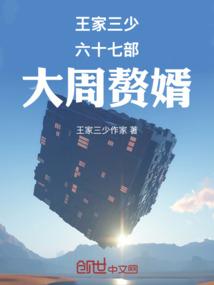 王家三少六十七部大周赘婿
