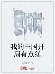 我的三国开局有点猛