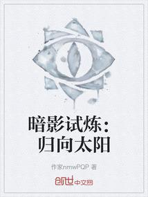 暗影试炼：归向太阳
