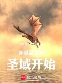 穿越盘龙从圣域开始