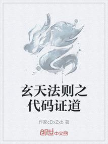 玄天法则之代码证道