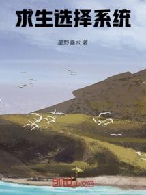 求生选择系统