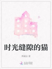 时光缝隙的猫