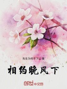 相约晚风下