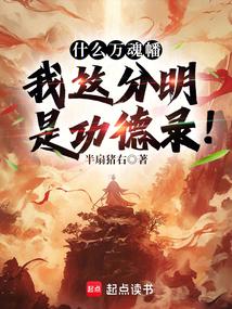 什么万魂幡，我这分明是功德录！