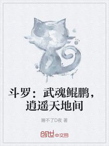 斗罗：武魂鲲鹏，逍遥天地间