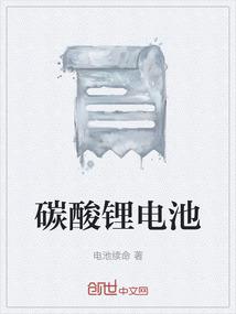 碳酸锂电池
