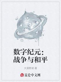数字纪元：战争与和平