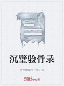 沉璧验骨录