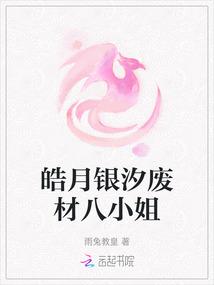 皓月银汐废材八小姐