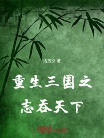 重生三国之：志吞天下