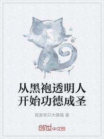从黑袍透明人开始功德成圣