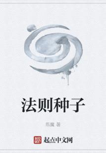 法则种子