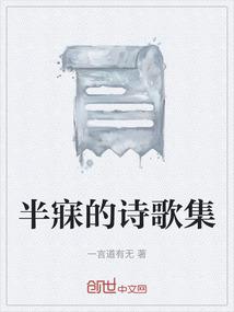 半寐的诗歌集