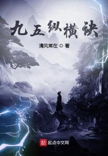 九五纵横诀