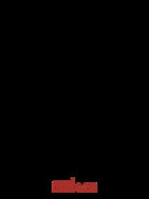 末世穿梭：我携时空镜速通诸天