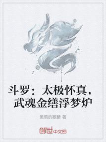 斗罗：太极怀真，武魂金缮浮梦炉