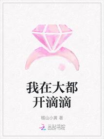 我在大都开滴滴