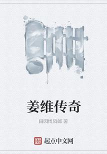 姜维传奇