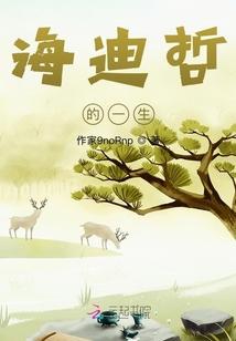 海迪哲的一生
