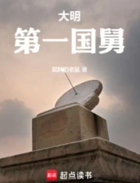 大明第一国舅