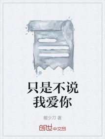 只是不说我爱你
