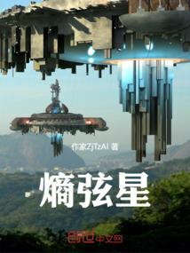 熵弦星
