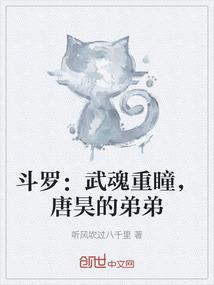 斗罗：武魂重瞳，唐昊的弟弟