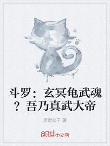 斗罗：玄冥龟武魂？吾乃真武大帝