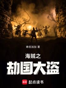 海贼之劫国大盗