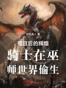 苟且后的辉煌骑士在巫师世界偷生