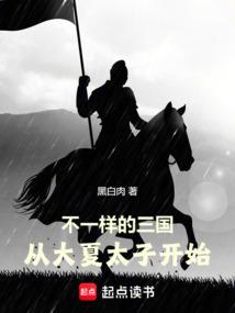 不一样的三国，从大夏太子开始