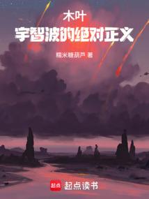 木叶：宇智波的绝对正义