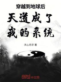 穿越到地球后天道成了我的系统